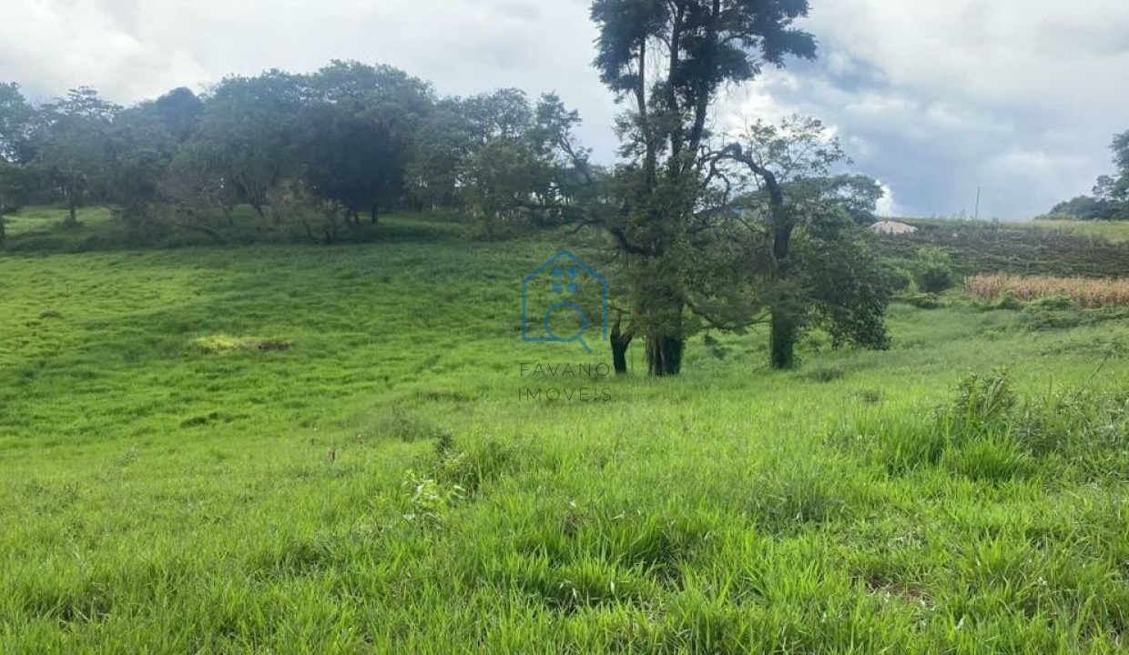 FI7446008